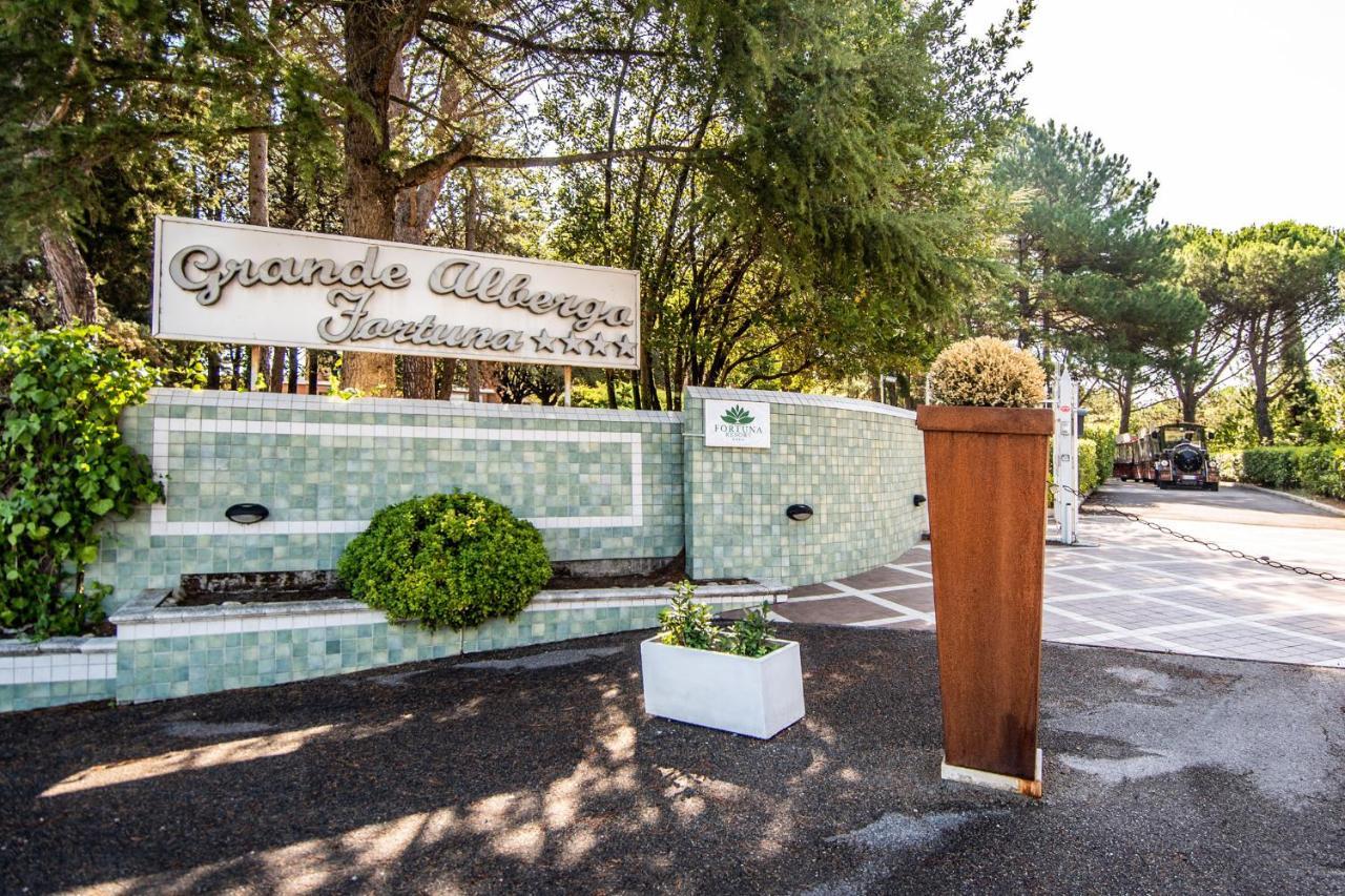 Fortuna Hotel 4*